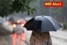 IMD Alert News