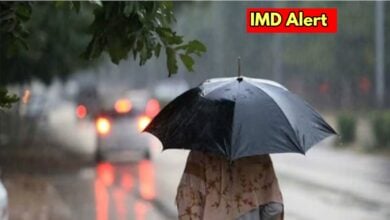 IMD Alert News