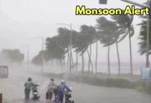 Mausam Alert News