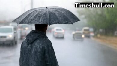Monsoon Update