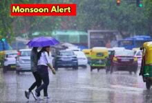 Rain Alert