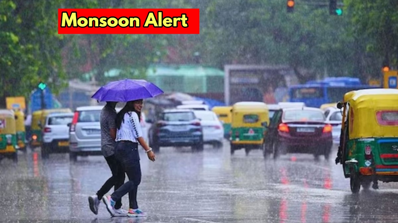 Rain Alert