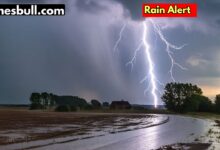 Rain Alert