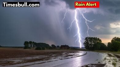 Rain Alert