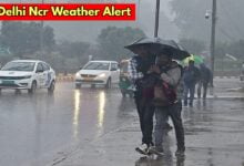 delhi ncr weather