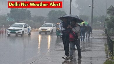 delhi ncr weather