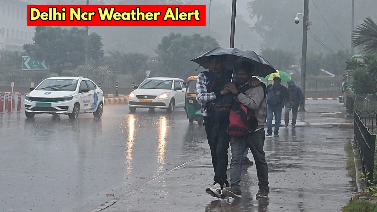 delhi ncr weather