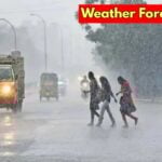 weather forecast