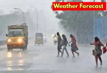 weather forecast
