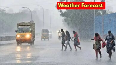 weather forecast