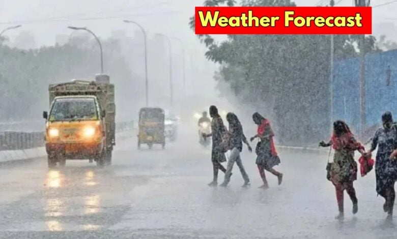 weather forecast